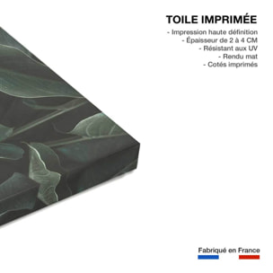 Tableau cactus green leaves  Toile imprimée