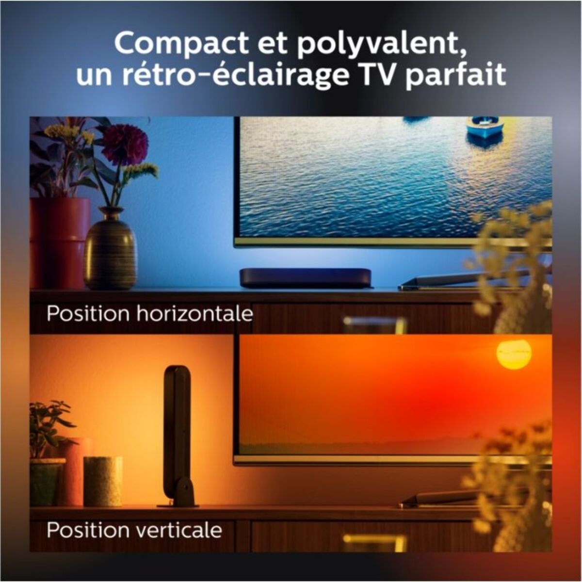 Lampe connectée PHILIPS HUE Play White&Color Ambiance