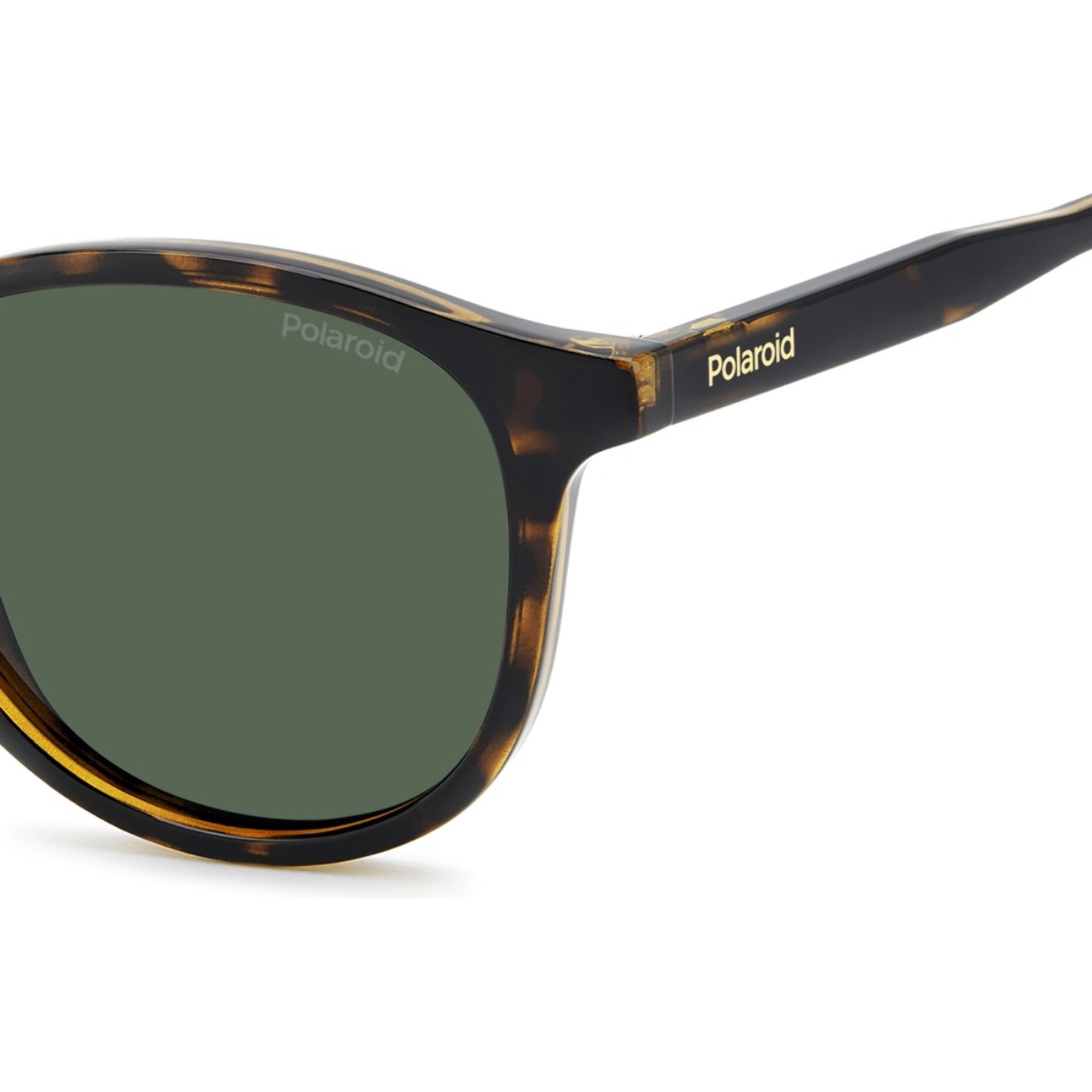 Gafas de Sol Polaroid PLD 4191/S 086 Polarizadas de Policarbonato Hombre 51 mm