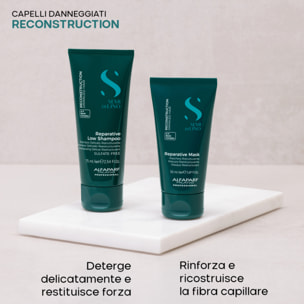 ALFAPARF MILANO Set Semi Di Lino Reconstruction Reparative Shampoo 75ml + Mask 50ml
