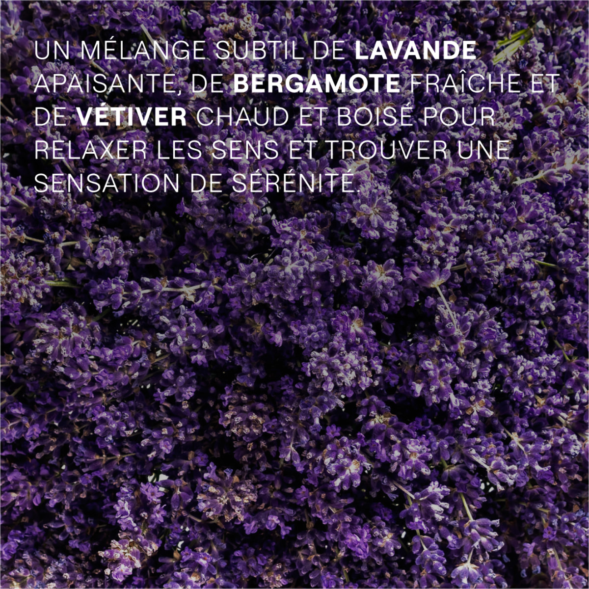 WELEDA - Crème de Douche Lavande Apaisante Relax - 200 ml