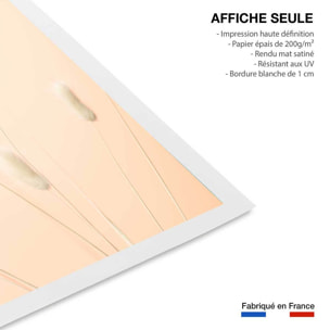 Affiche  scandi pampa Affiche seule