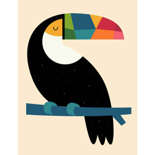 Papier peint toucan multicolore Intissé