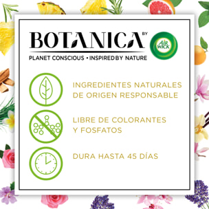 Botanica by Air Wick Varitas perfumadas, aroma Vetiver Caribeño y Sándalo - 80ml