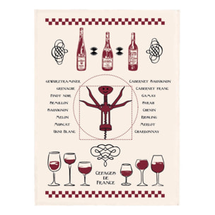 Torchon Vitruve