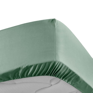 Drap Housse Uni 100% Percale de Coton ORIGINE - Vert tilleul
