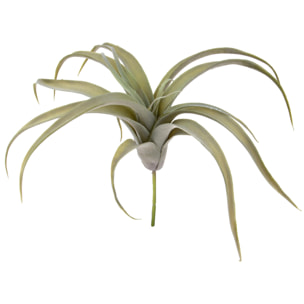 Tillandsia Per 19 30 Cm - Pezzi 3 - 10X30X10cm - Colore: Verde - Bianchi Dino - Piante Artificiali