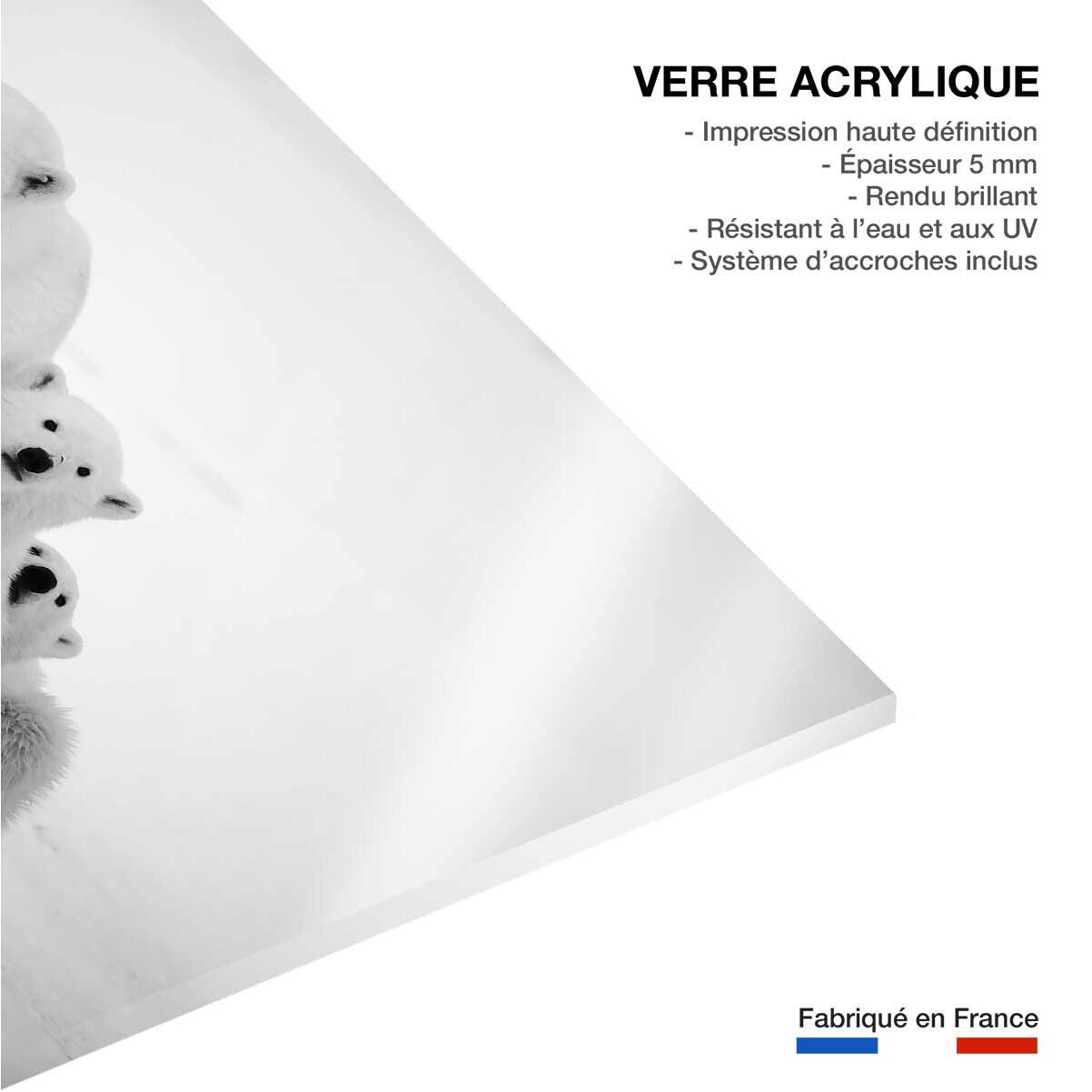 Tableau animaux family polar bear Tableau plexiglas