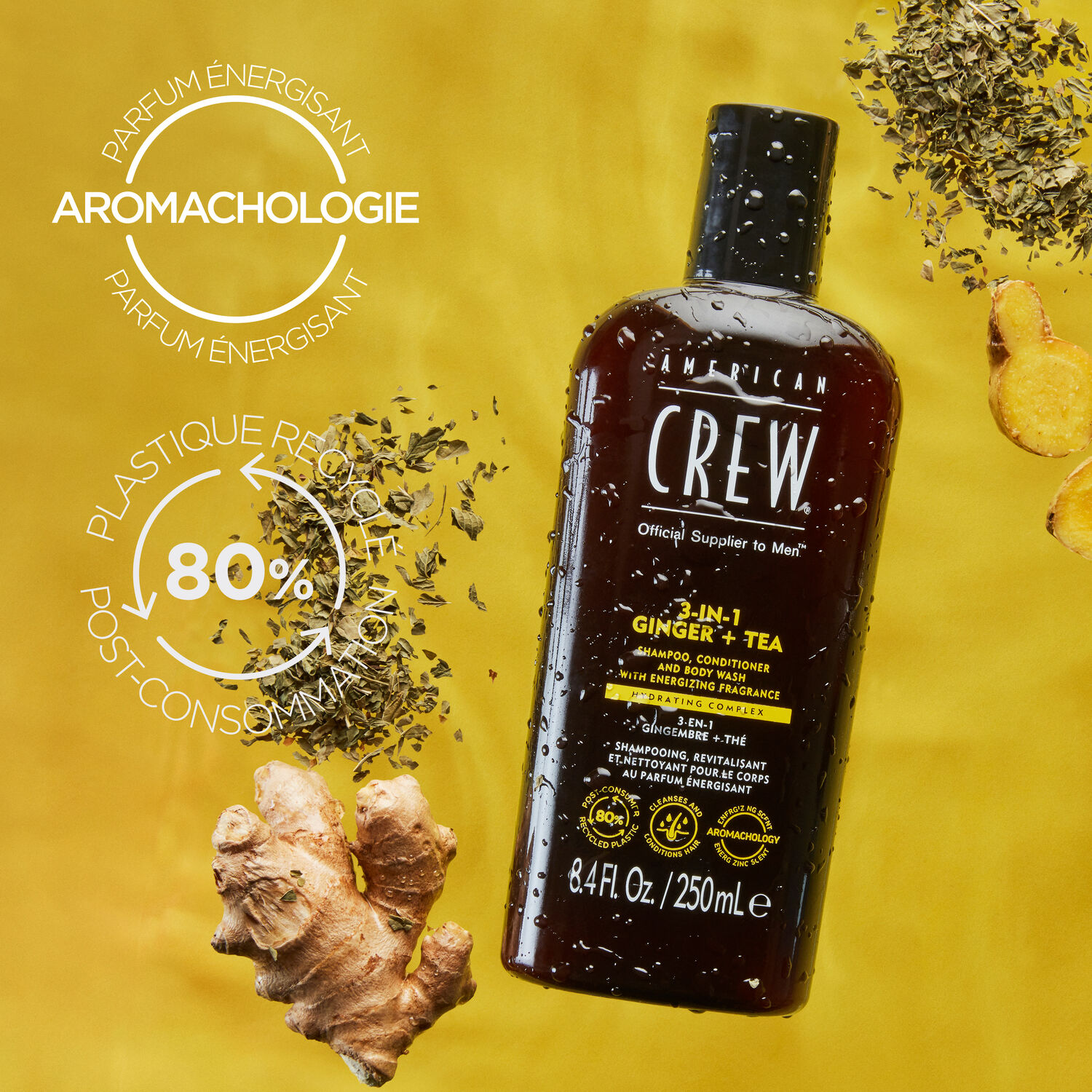 3-en-1 Gingembre Thé - Shampooing 3en1 Revitalisant et Hydratant 450 ml