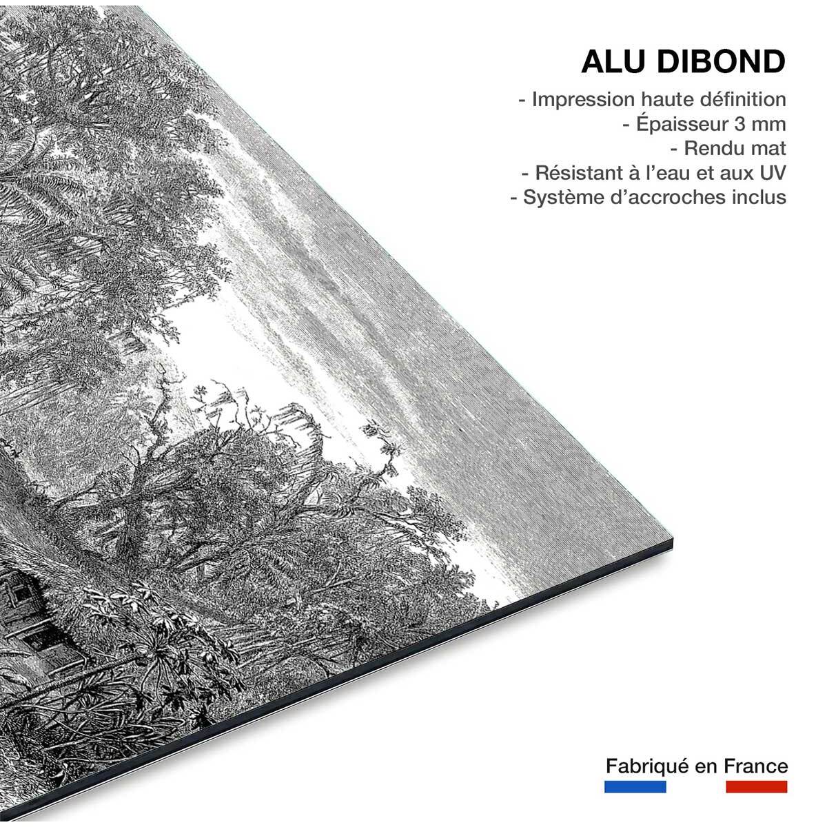 Tableau gravure forêt de mangroves Tableau alu Dibond