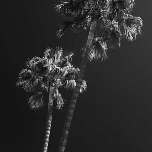 Tableau noir et blanc Ambiance Californie Toile imprimée