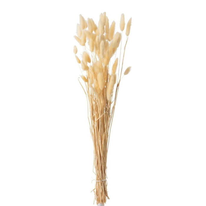 J-Line fleur sechée bouquet Queue De Lievre - rotin - beige - small