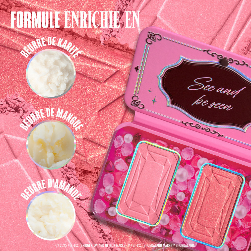 NYX Professional Makeup Collection Limitée Bridgerton Palette Duo Blush WALLFLOWER