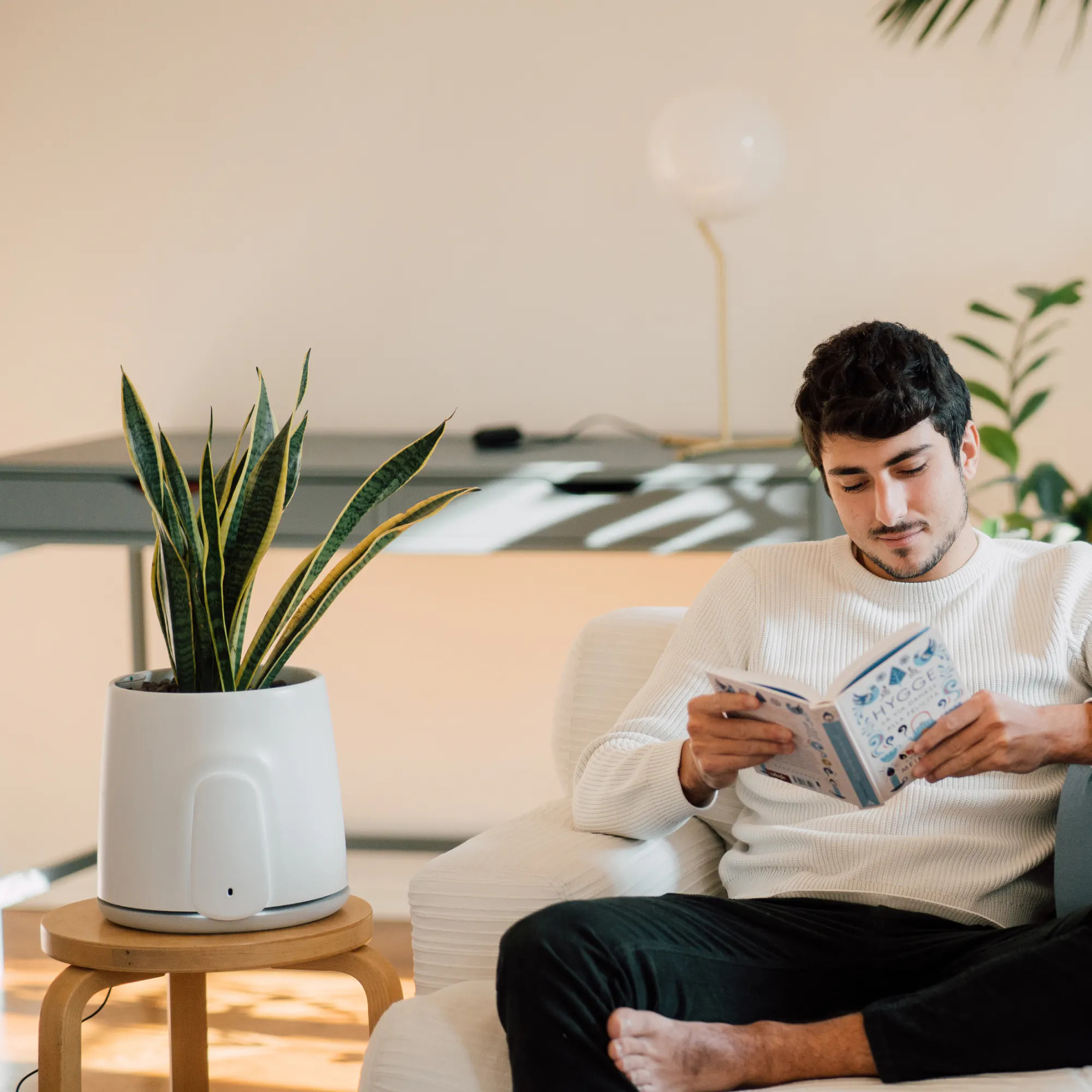 Natede Smart, purificatore d'aria naturale con sistema di monitoraggio