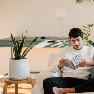 Natede Smart, purificatore d'aria naturale con sistema di monitoraggio