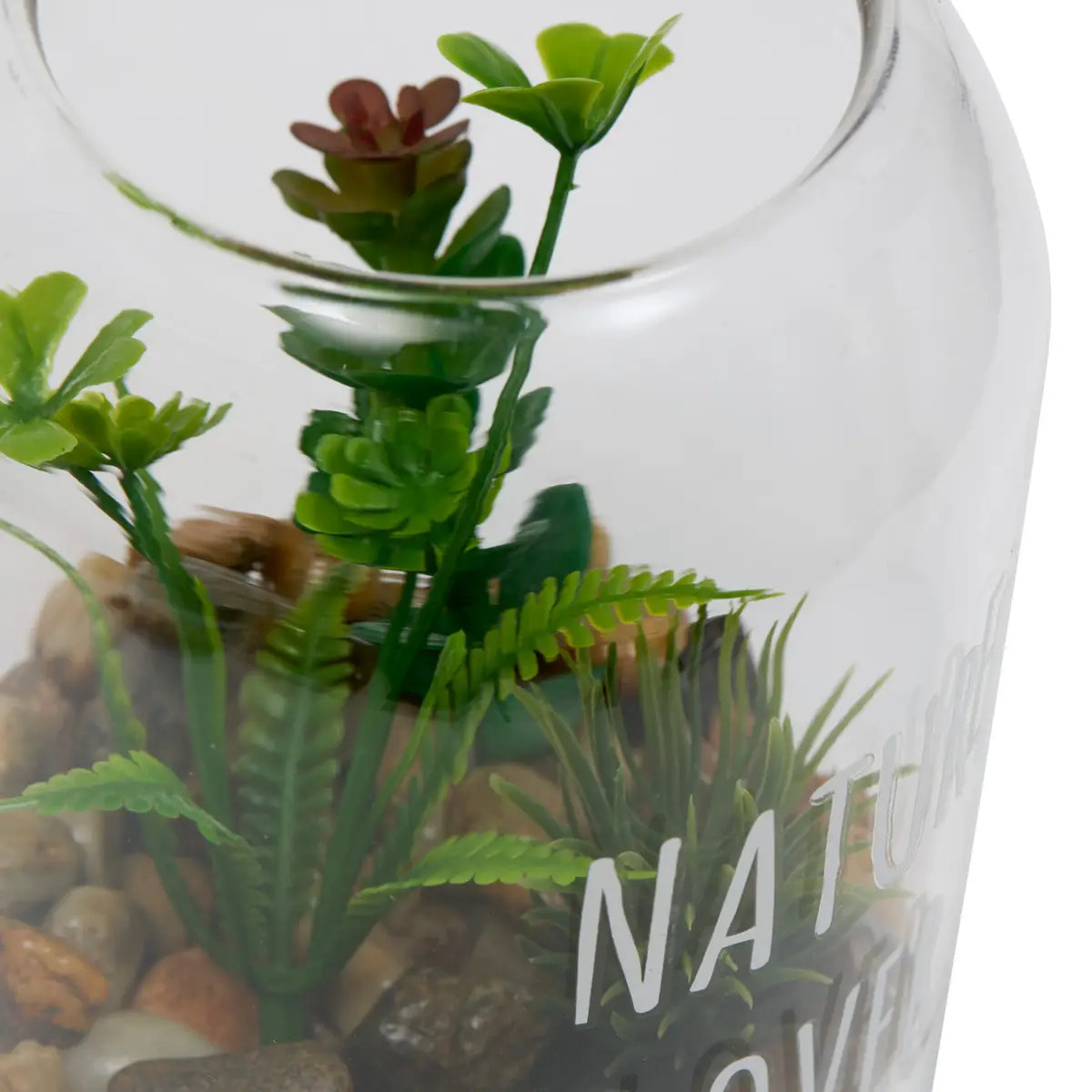 Terrarium Ady H12,5cm vert