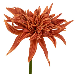 Tige décorative Homy H.55cm