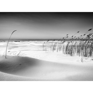 Papier peint plage des landes en n&b Intissé