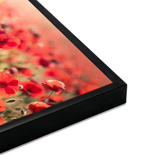 Affiche encadrée champ de coquelicots lumineux Affiche + cadre en métal - Noir