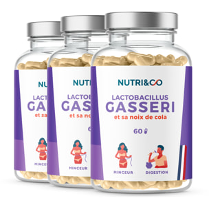 Lactobacillus Gasseri Probiotique Minceur Ventre Plat - 60 gélules - Lot de 3
