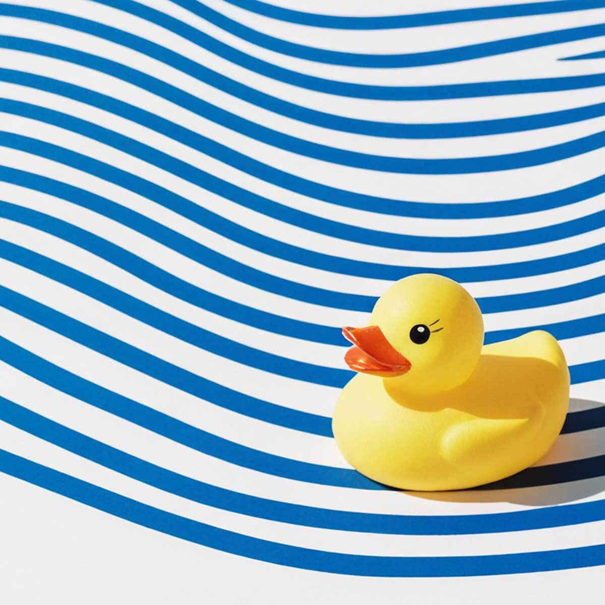 Tableau canard sur vagues graphiques Toile imprimée