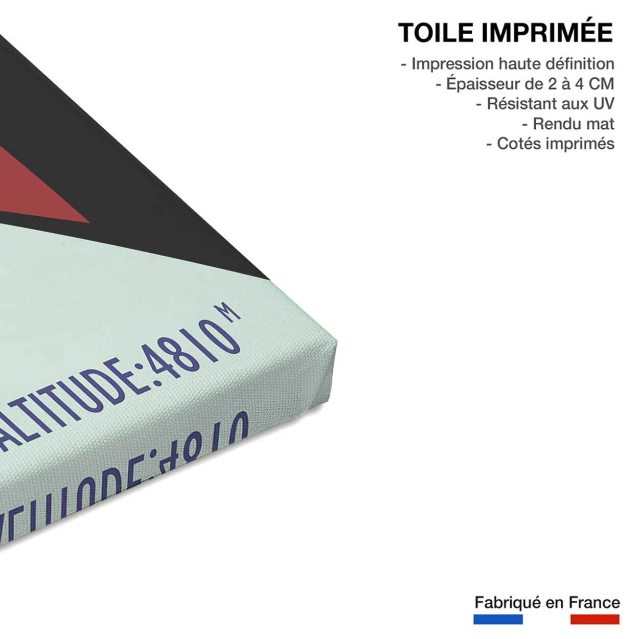 Tableau terminus Chamonix 4810m Toile imprimée