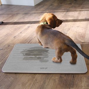 Pierre Dapprentissage