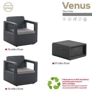 Conjunto muebles de jardín venus tete a tete dos sillones y una mesa grafito