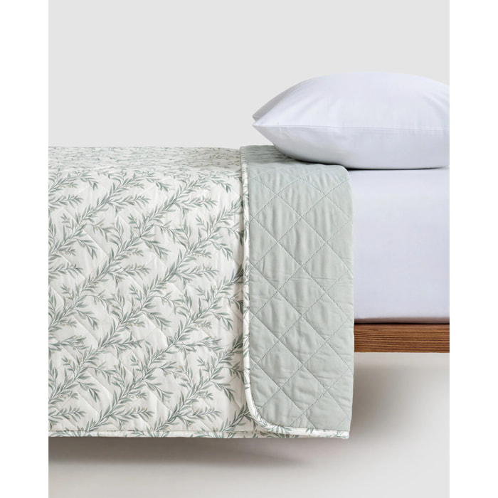 Bouti olive verde seco