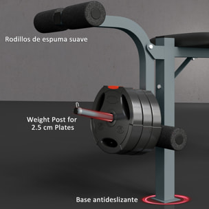 Banco de Pesas Altura Ajustable Banco de Musculación Multifuncional Máquina de Fitness Entrenar Completo con Respaldo Regulable Carga 300 kg 165x68x114 cm