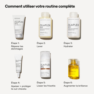 Trousse de Brillance Édition Limitée - Coffret de 6 Produits pour Soigner, Laver et Sublimer ses Cheveux