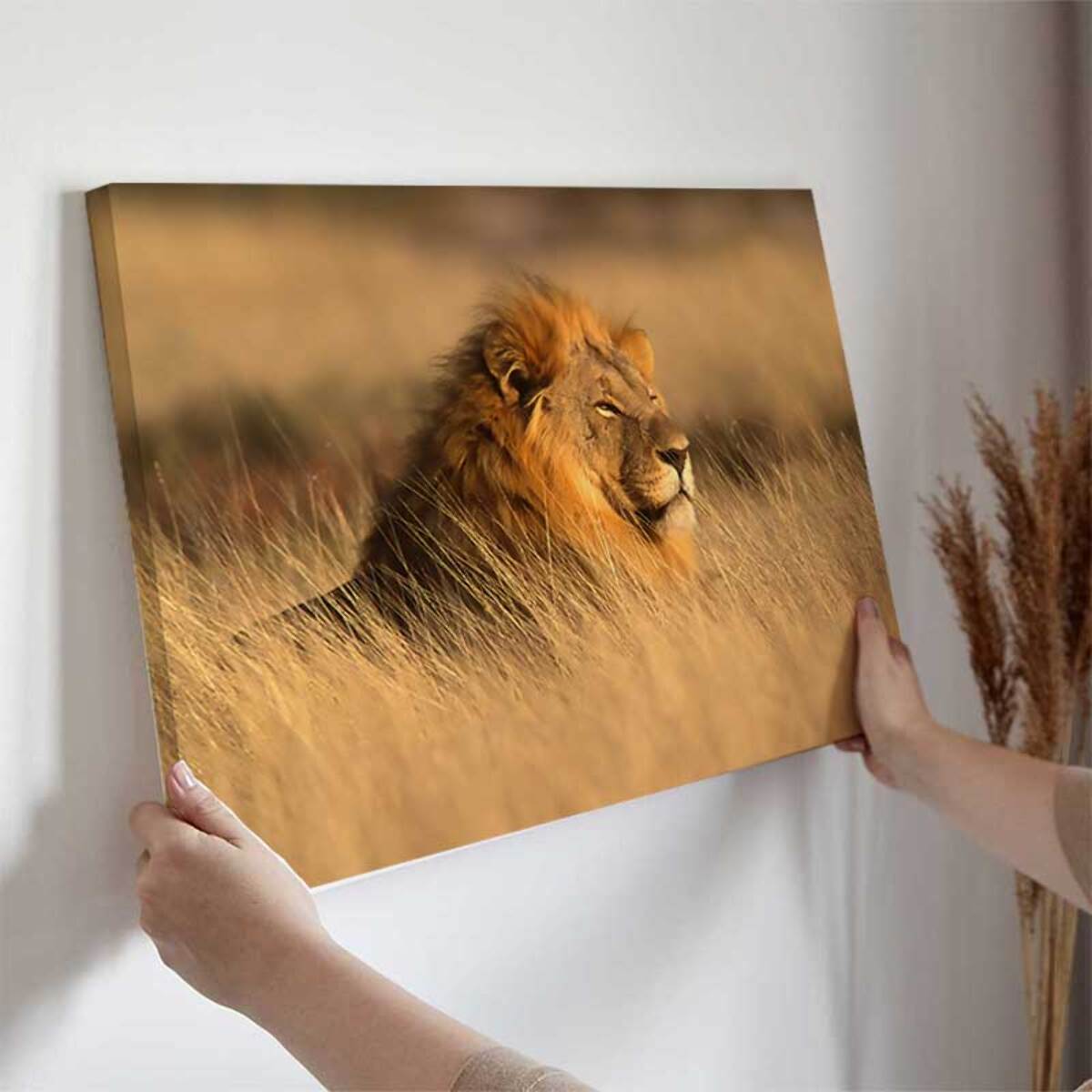 Tableau lion majestueux dans la savane dorée Toile imprimée