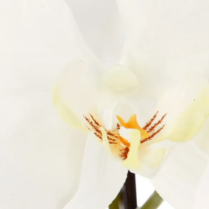 Orchidée artificielle pot céramique H115cm