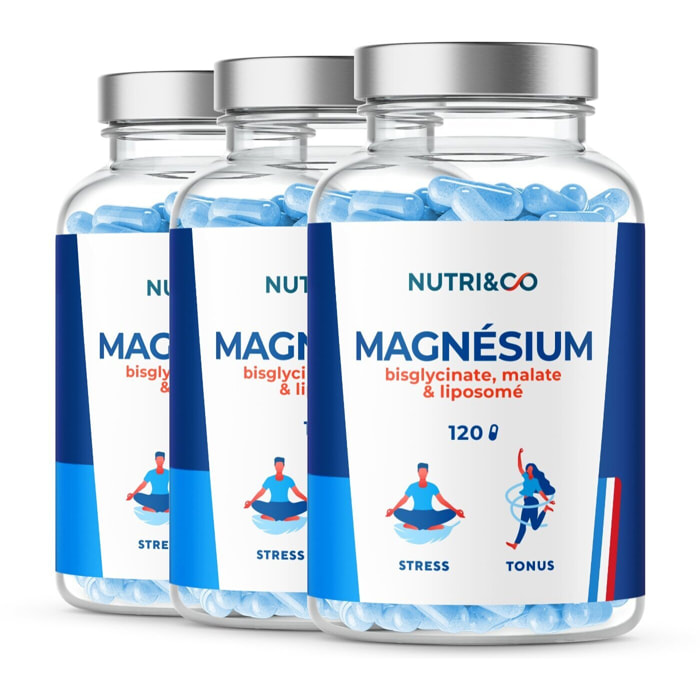 Magnésium Bisglycinate + Vitamine B6 Stress & Tonus - 120 gélules Vegan - Lot de 3