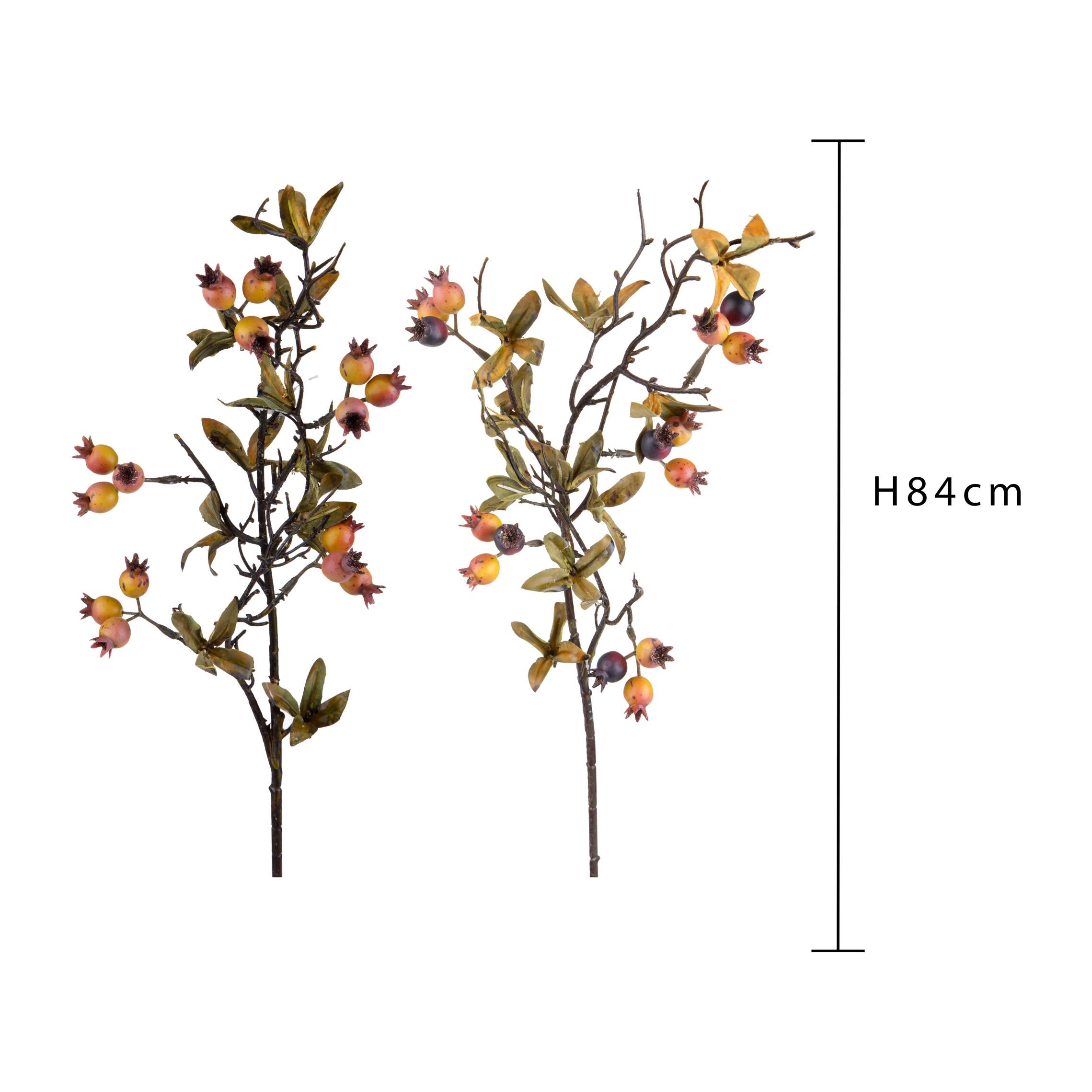 Ramo bacche - Pezzi 12 - 20xH84x8cm - Bianchi Dino SpA