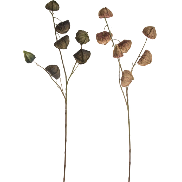 Ramo Di Phisalis. Altezza 81 Cm - Pezzi 6 - 17X81X14cm - Colore: Multicolore - Bianchi Dino - Fiori Artificiali