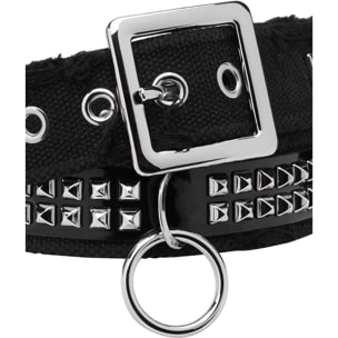 PHILIPP PLEIN Cintura