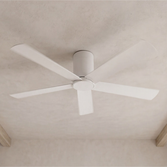 Forlight Ventilador IP20 Rodas Blanco brillante Blanco