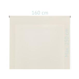 Store enrouleur Polyester Translucide Beige 120 x 250