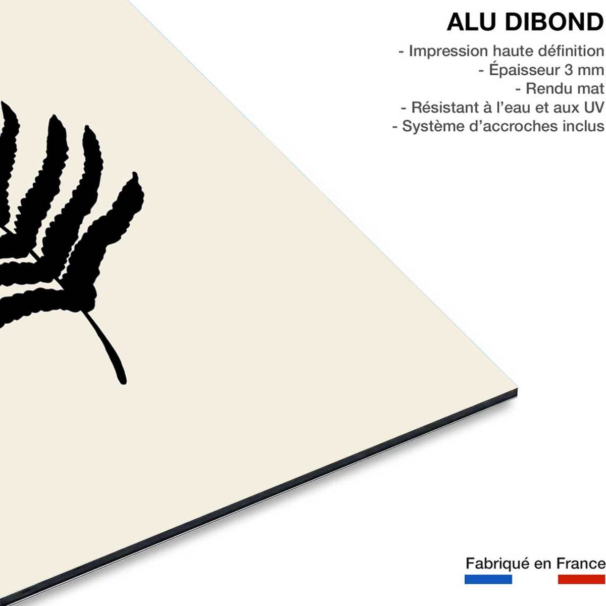 Tableau black fougères Tableau alu Dibond