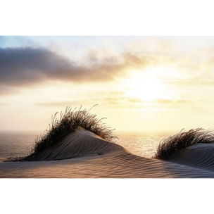 Tableau dune au vent Tableau plexiglas