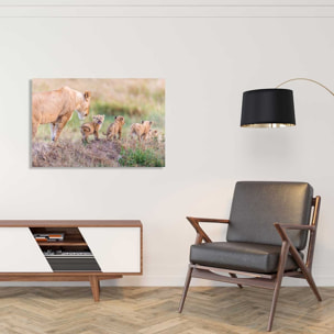 Tableau animaux let's go mom Tableau alu Dibond