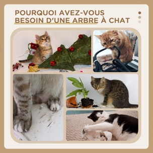 Arbre à chat avec griffoir centre d'activités 2 plateformes coussin crème