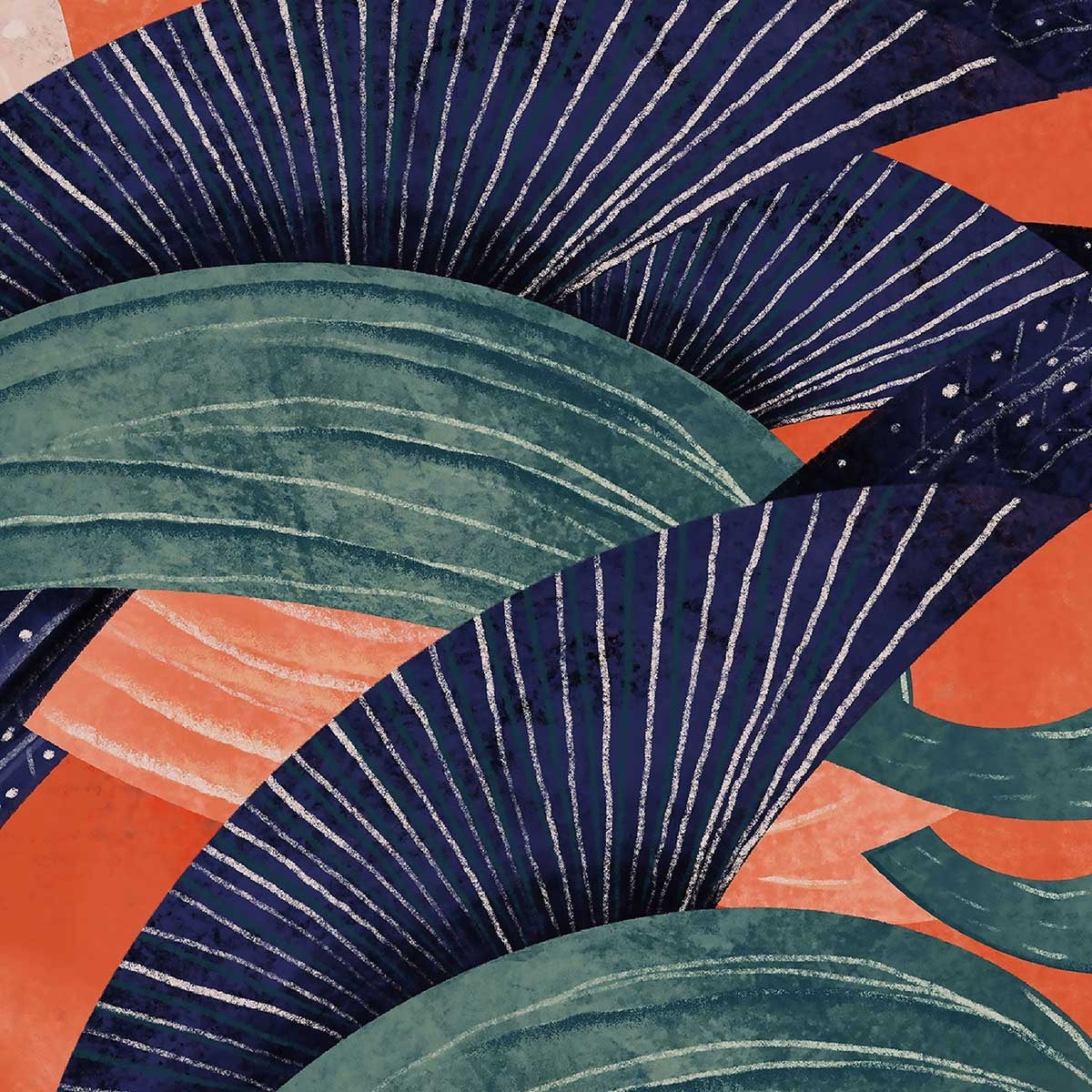 Affiche illustration oiseau lyre Affiche + cadre en bois - Chêne