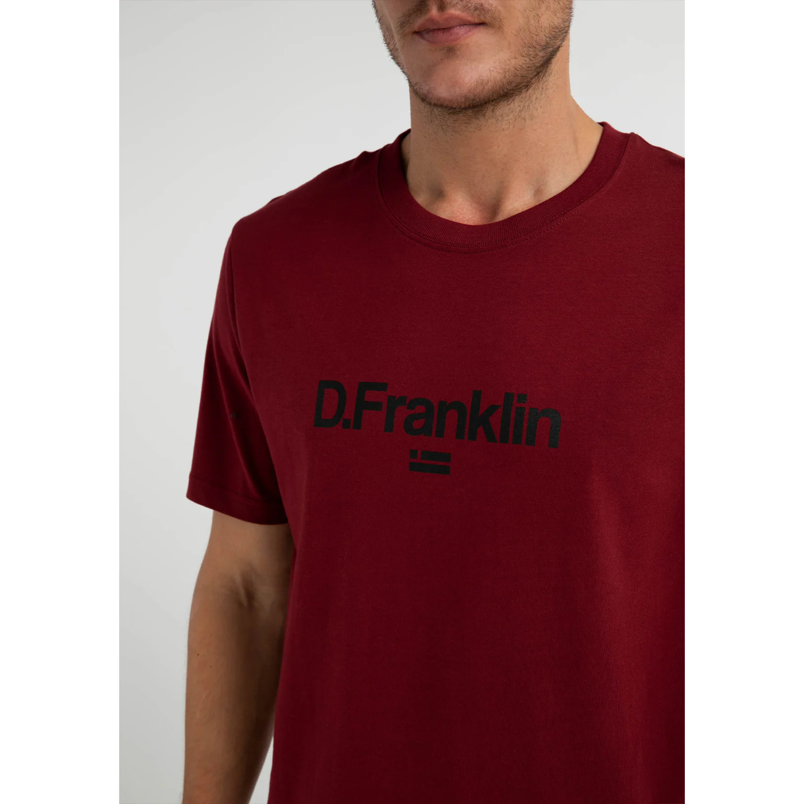 Camiseta Básica Logo Flag T-Shirt en Rojo D.Franklin