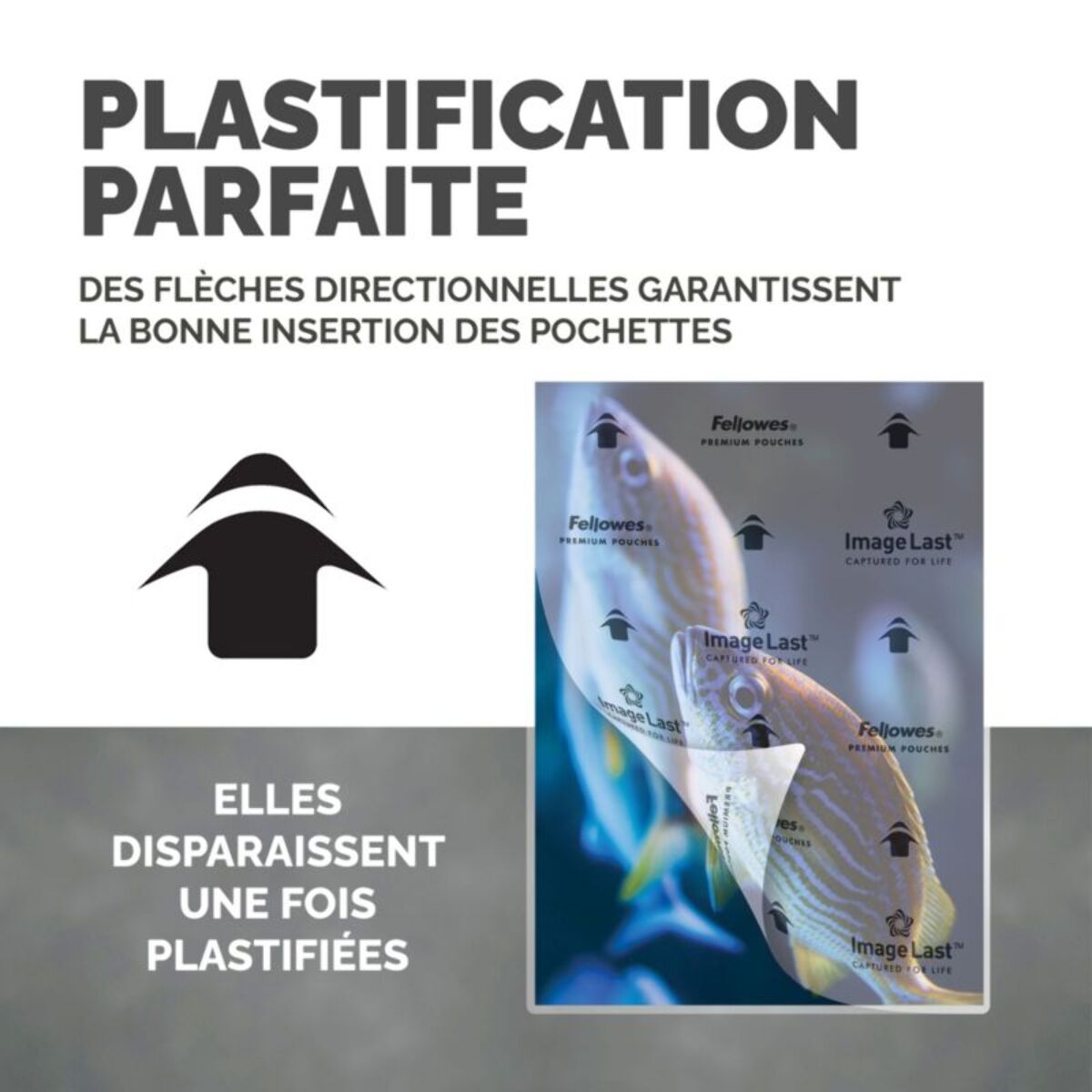 Consommable de bureau pour plastifieuse FELLOWES plastification A3 80 mic x100