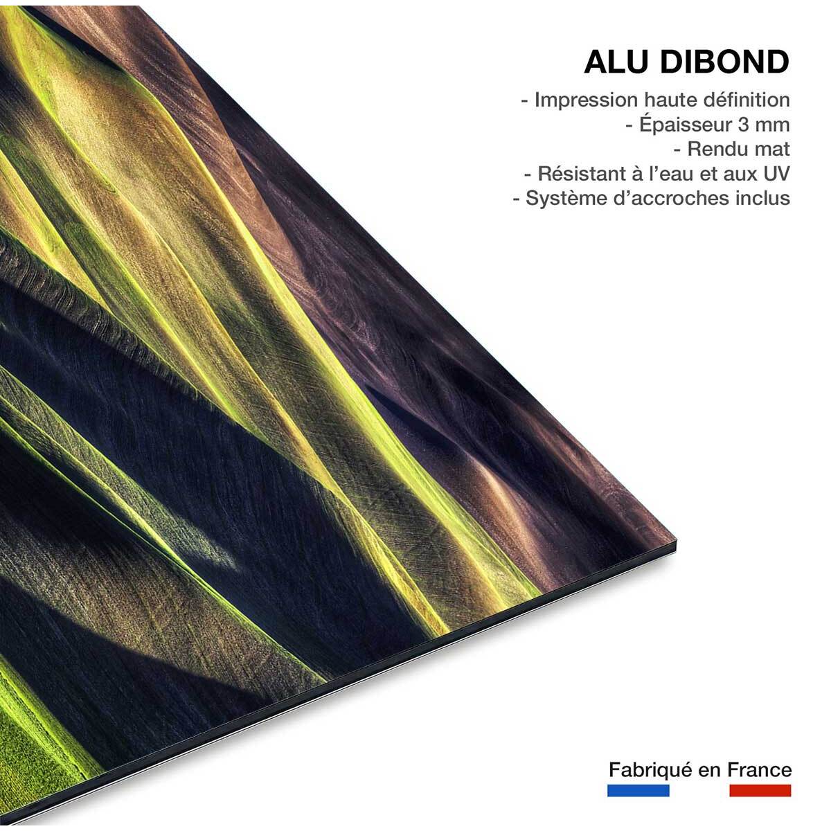 Tableau Champs et colline USA Tableau alu Dibond