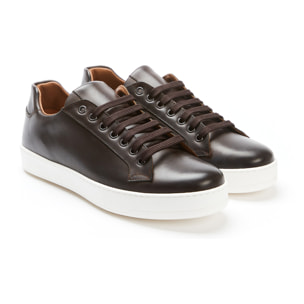 Sneaker British Passport testa di moro