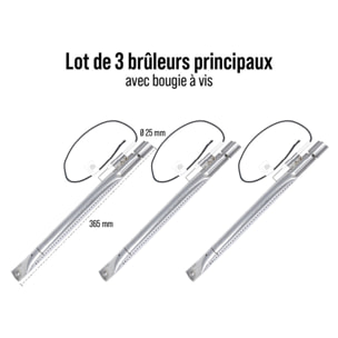 Lot 3 brûleurs avec bougie a vis