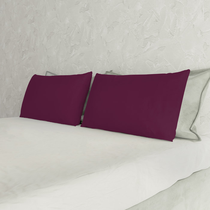 COPPIA FEDERE MAX COLOR, 100% Cotone, Made in Italy - PRUGNA